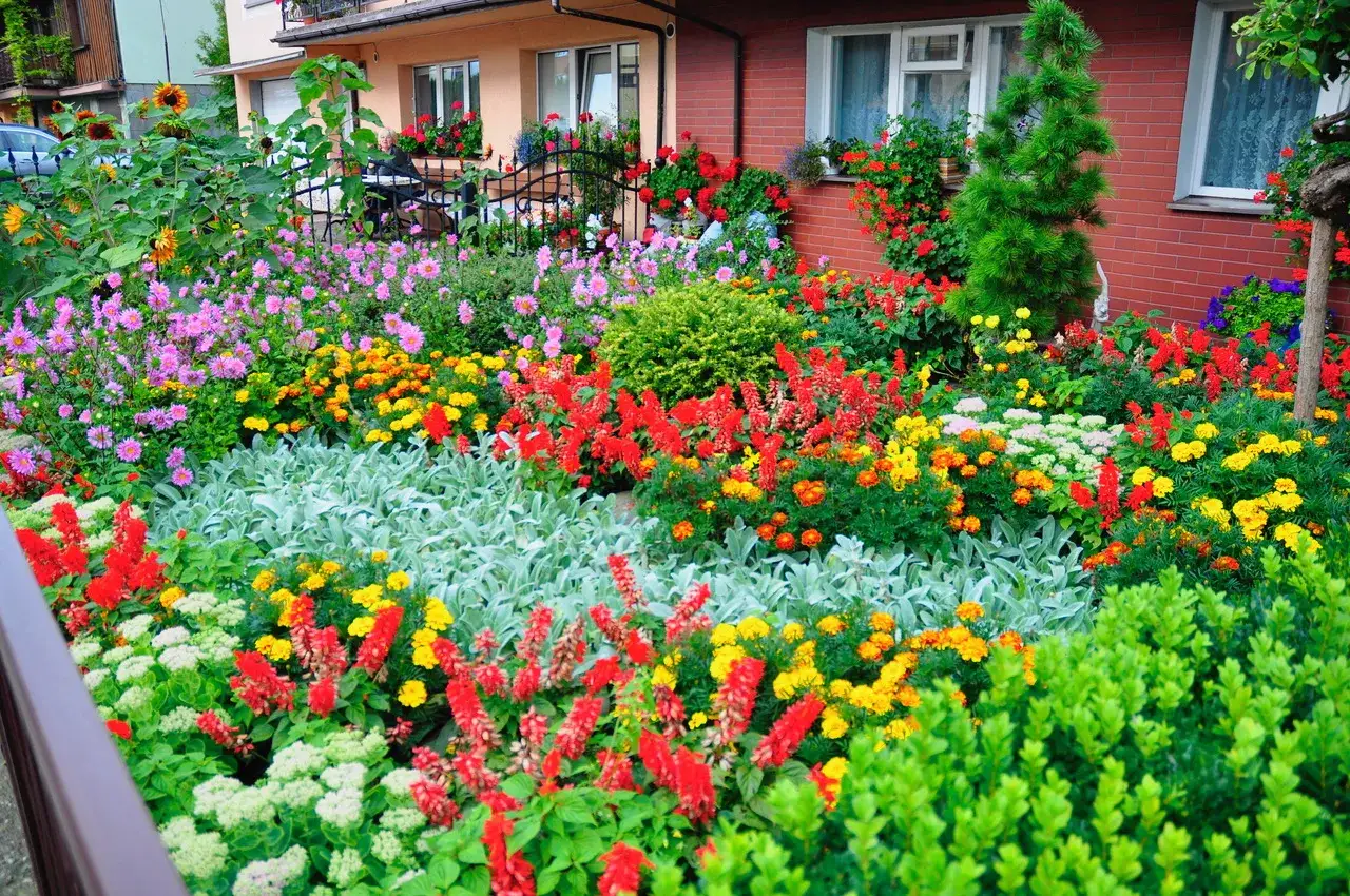 Kolorowy ogr&oacute;d pełen kwitnących kwiat&oacute;w jednorocznych do ogrodu: czerwone, ż&oacute;łte, r&oacute;żowe i pomarańczowe kompozycje tworzą radosny widok.
