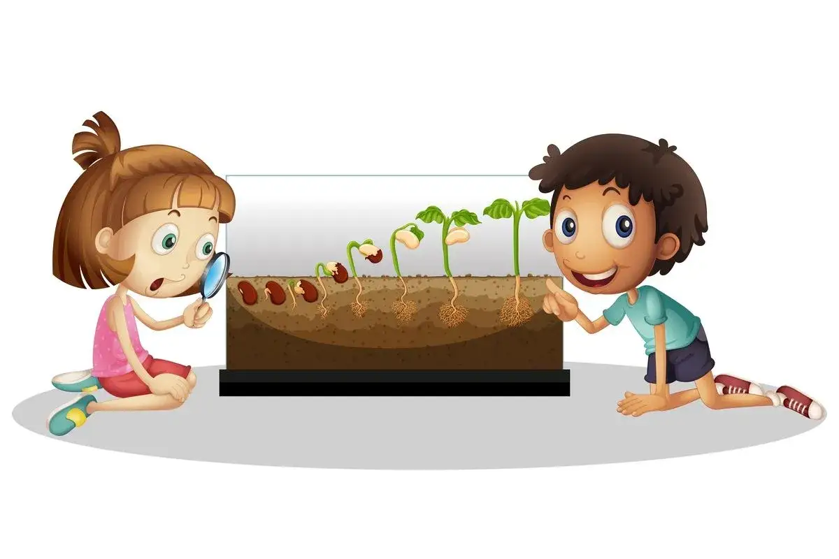 dzieci obserwujące eksperyment z fasolą na parapecie