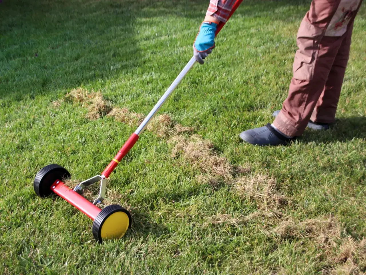Osoba w rękawiczkach używa aeratora do trawy, przygotowując ją do pierwszego nawożenia po zimie.