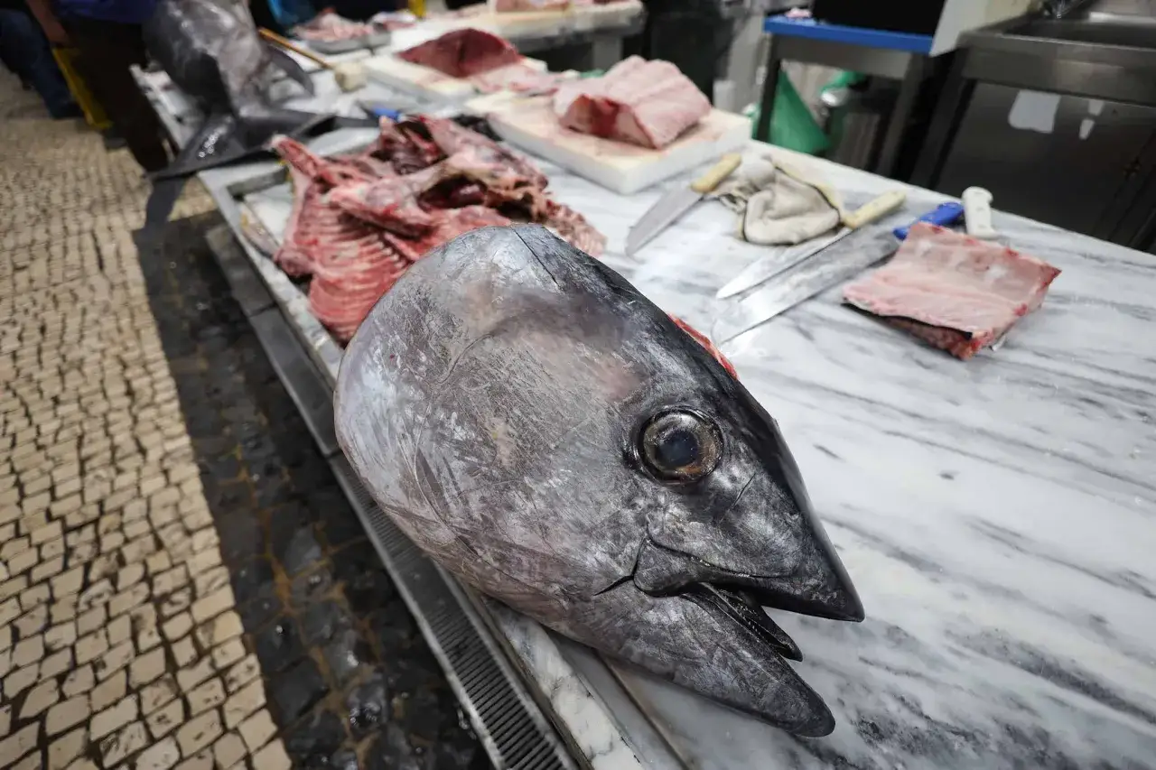 Świeże owoce morza Split targ rybny