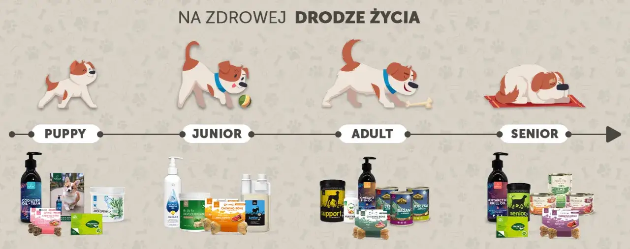 Rozwój szczeniaka wiek etapy