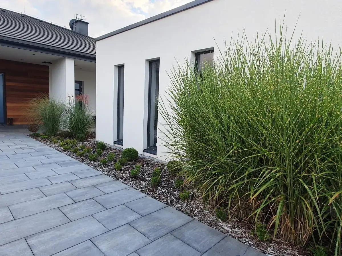Nowoczesne wzory kostki brukowej przed domem, z ozdobną trawą i zielenią.
