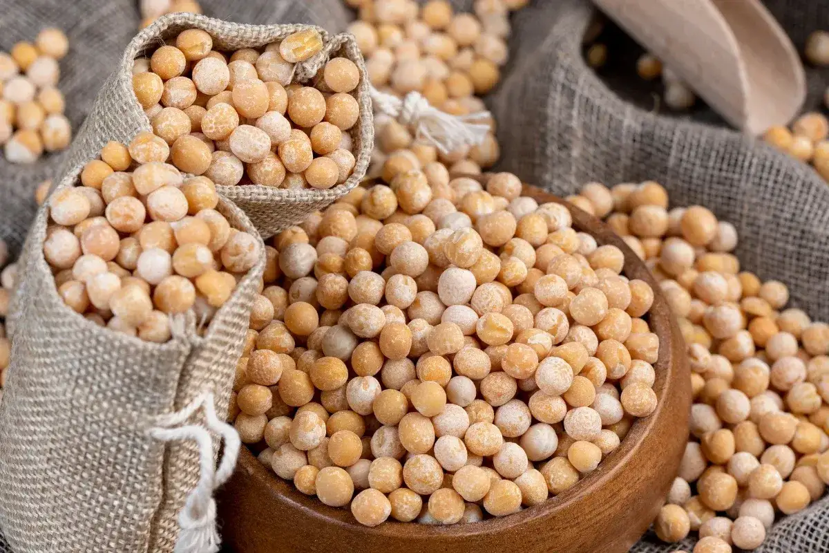 stary groch twarda woda sól