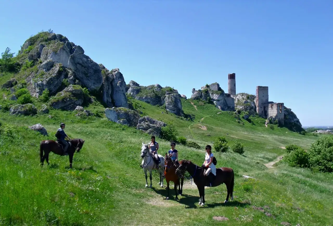 Stajnia Biały Borek Jura Krakowsko-Częstochowska