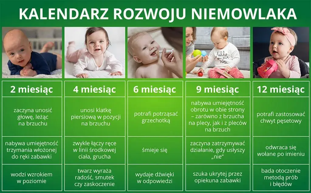 kalendarz rozwoju niemowlaka infografika
