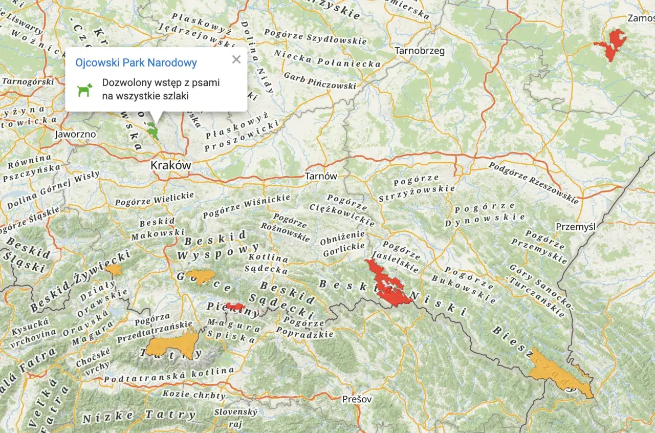 Pies w Beskidach na szlaku