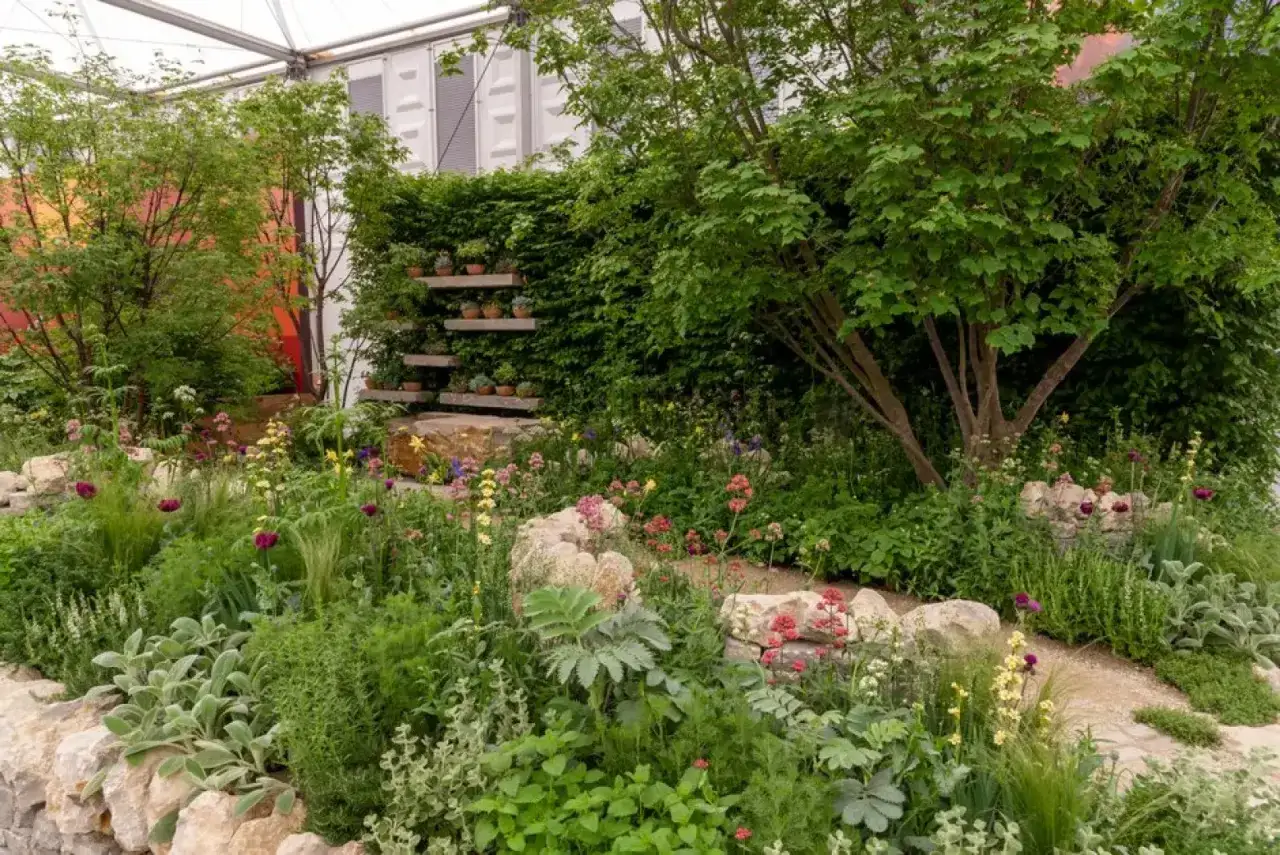 Kwiaty i zieleń tworzą bujny, dziki ogr&oacute;d inspiracje. Kamienie i drzewa dodają naturalnego uroku.