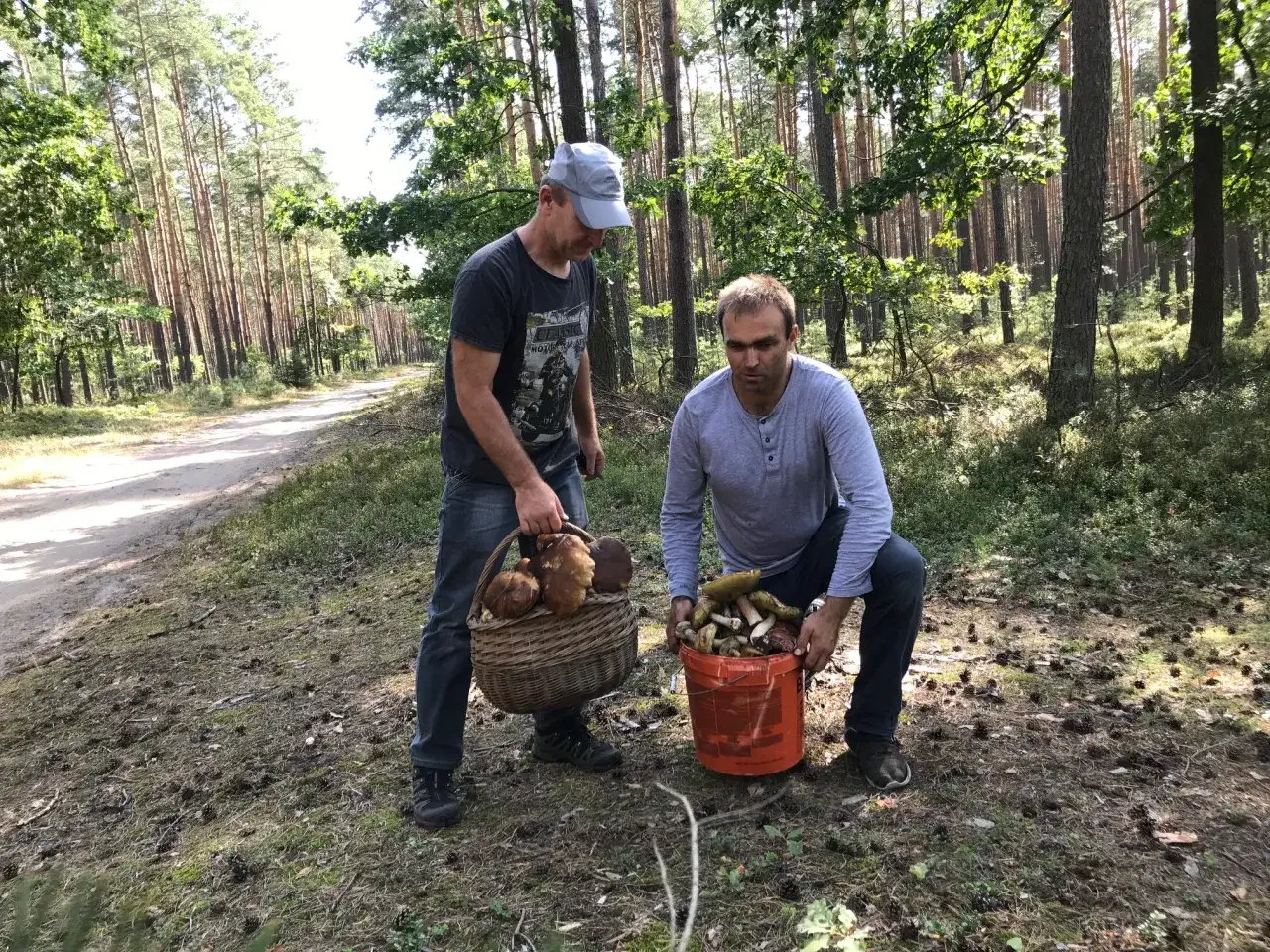Dw&oacute;ch mężczyzn w lesie z pełnymi koszami grzyb&oacute;w. Idealne miejsce, by wybrać się gdzie na grzyby z noclegiem.