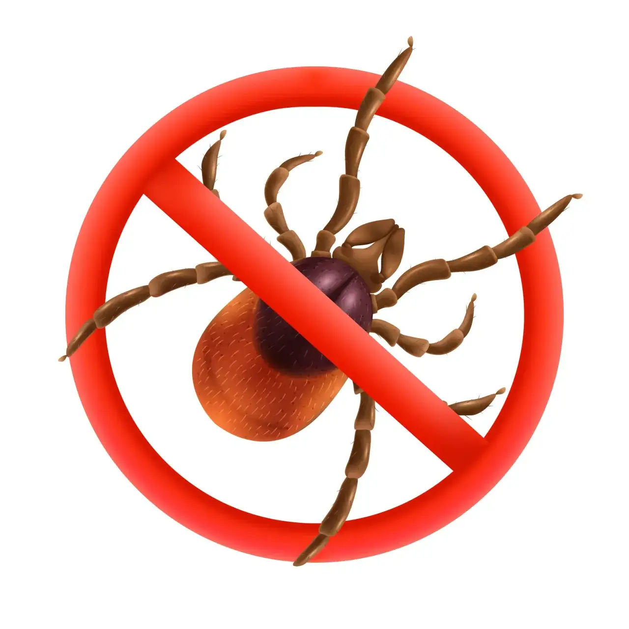 Zdjęcie Obroża przeciw kleszczom Kiltix czy Foresto – która jest lepsza?