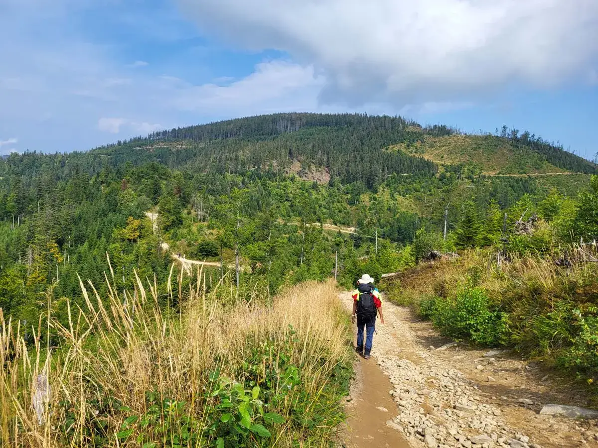 Droga do bacówki na obidzy, pośród zielonych lasów i wzgórz.