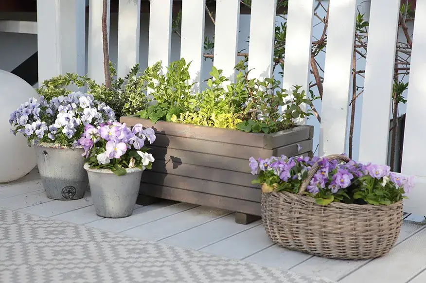 modne kompozycje kwiatowe na taras