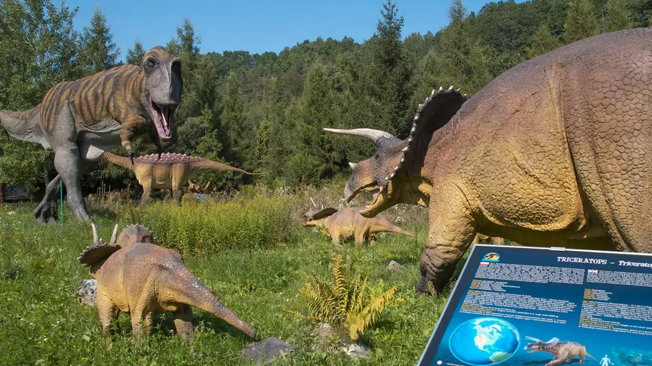 G&oacute;ry Świętokrzyskie widok og&oacute;lny