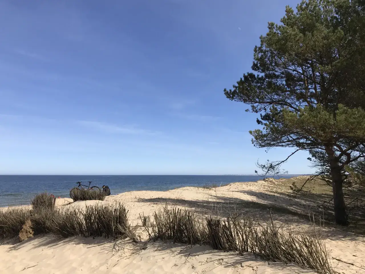 Piękny dzień nad morzem. Czy Polska ma jakąś wyspę? Tak, na przykład Hel, który wygląda jak ta piaszczysta plaża z rowerami.