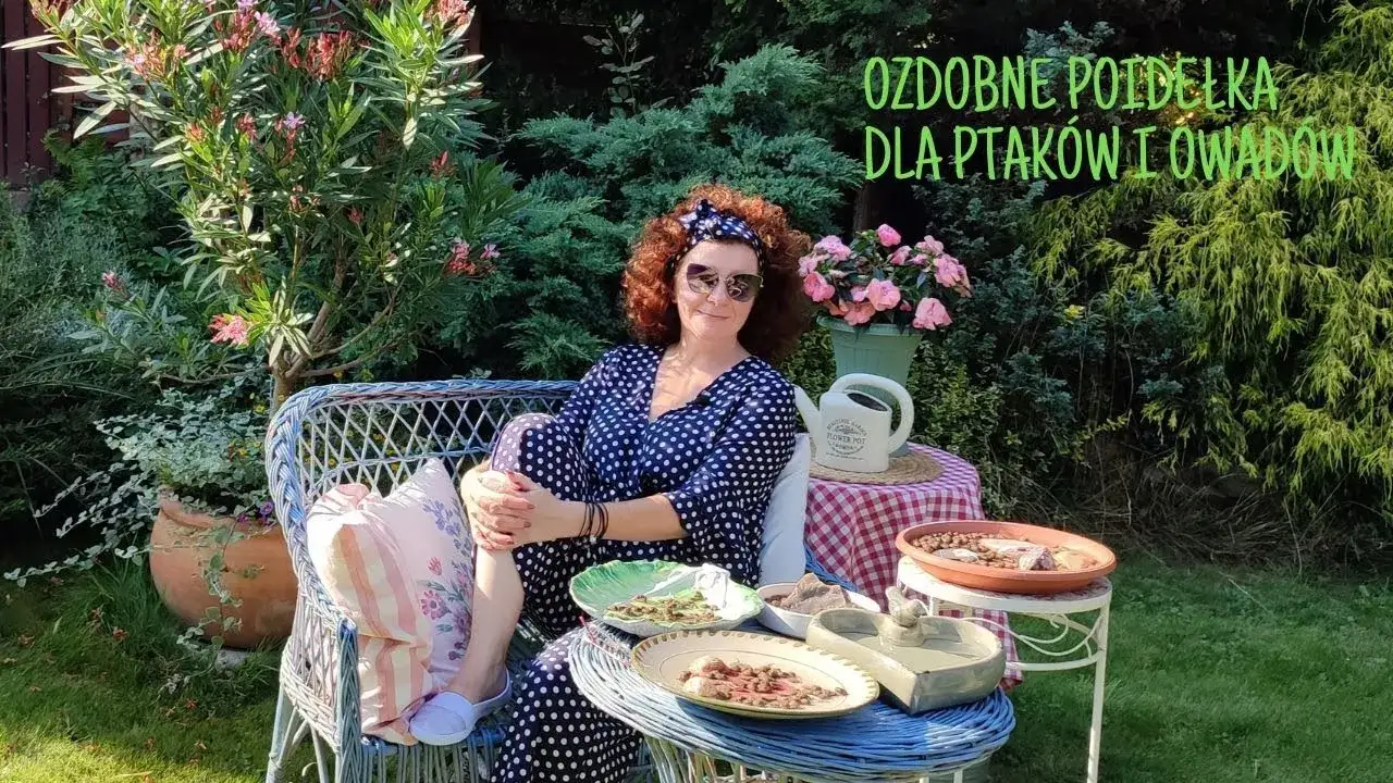 Zdjęcie Jak stworzyć poidełko dla ptaków DIY - proste i tanie pomysły