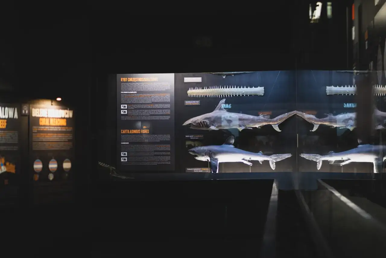 akwarium gdyńskie sala dydaktyczna