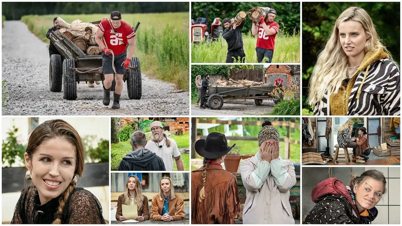 Kolaż scen z programu 