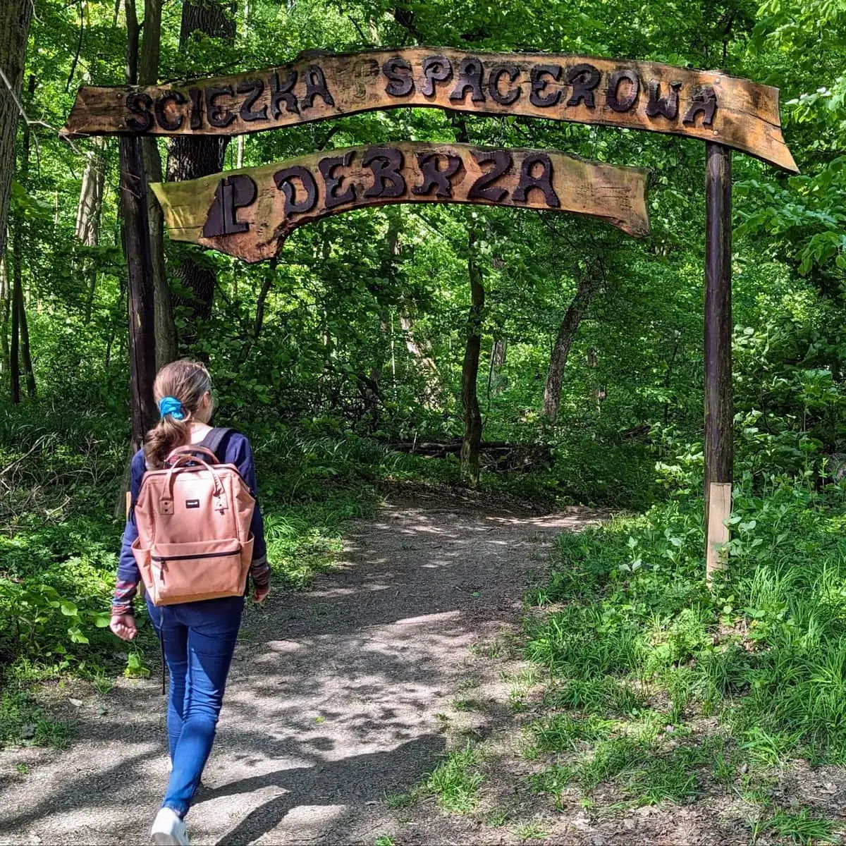 Zdjęcie Rezerwat przyrody Debrza: Odkryj nieznane skarby i atrakcje natury