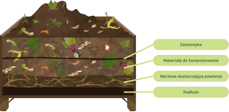 Zdjęcie Kompost w ogrodzie: 8 praktycznych sposobów na jego wykorzystanie