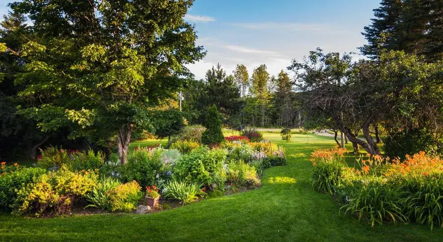Zdjęcie Jakie kwiaty sadzić w sierpniu, aby cieszyć się pięknym ogrodem?