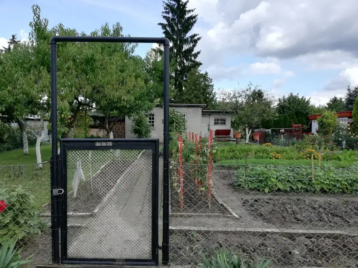 Zdjęcie Ile działek można sprzedać w ciągu roku bez podatku? Oto zasady