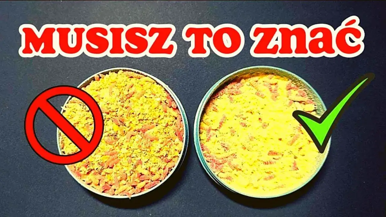 Zdjęcie Jak wyhodować białe robaki na ryby i uniknąć najczęstszych błędów