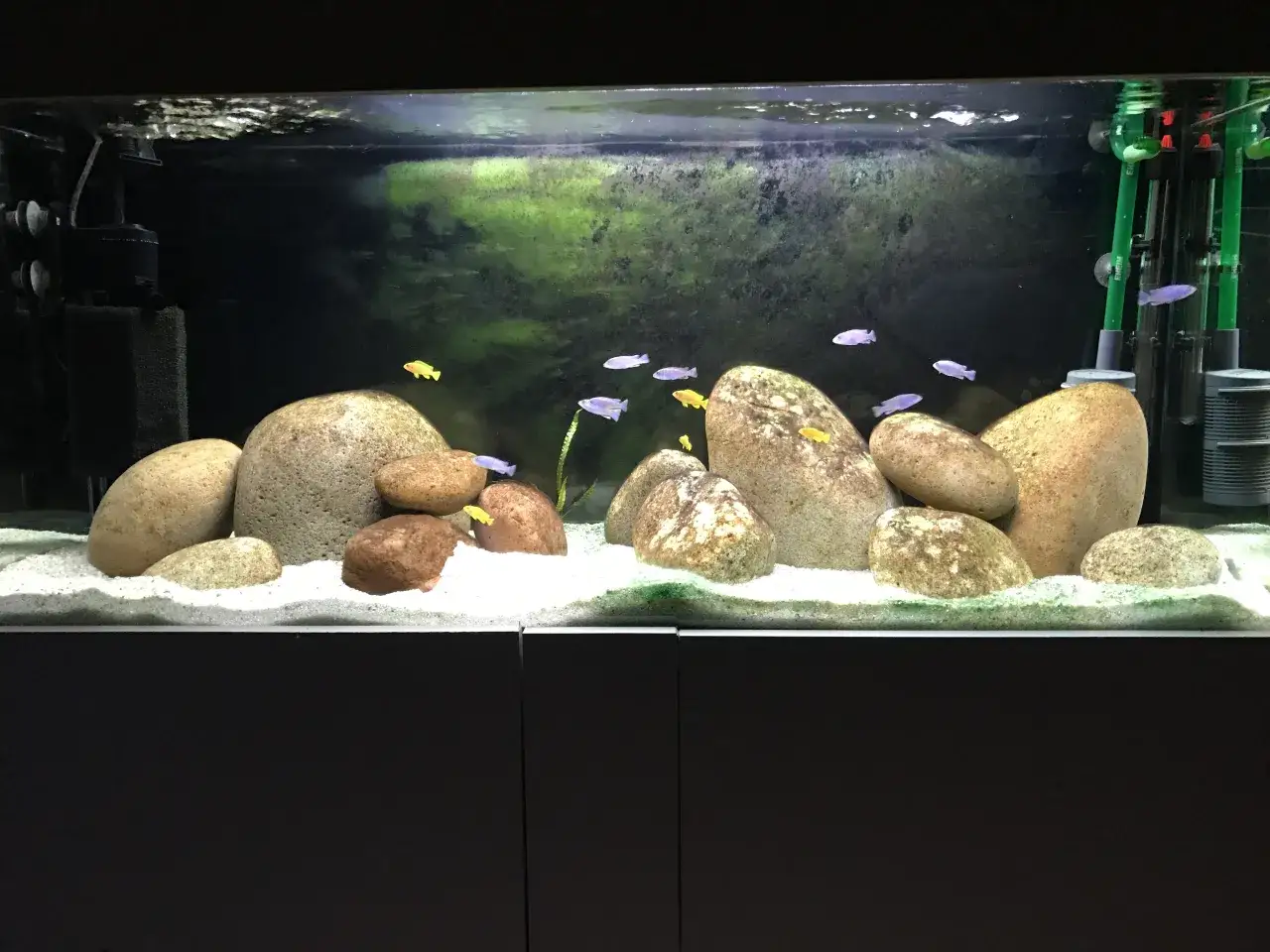 Zdjęcie Jak zamontować filtr w akwarium - proste kroki, aby uniknąć problemów