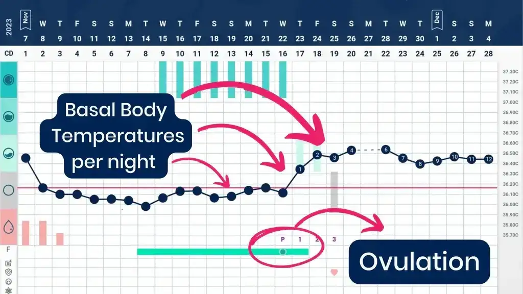 objawy owulacji wykres temperatura śluz