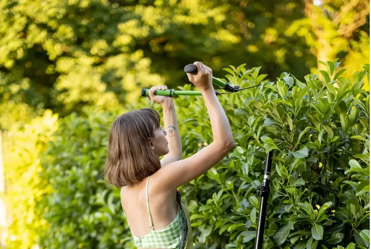 Kobieta przycina żywopłot z laurowiśni, dbając o jego kształt. Idealny czas, kiedy przycinać laurowiśnie, to wiosna i jesień.