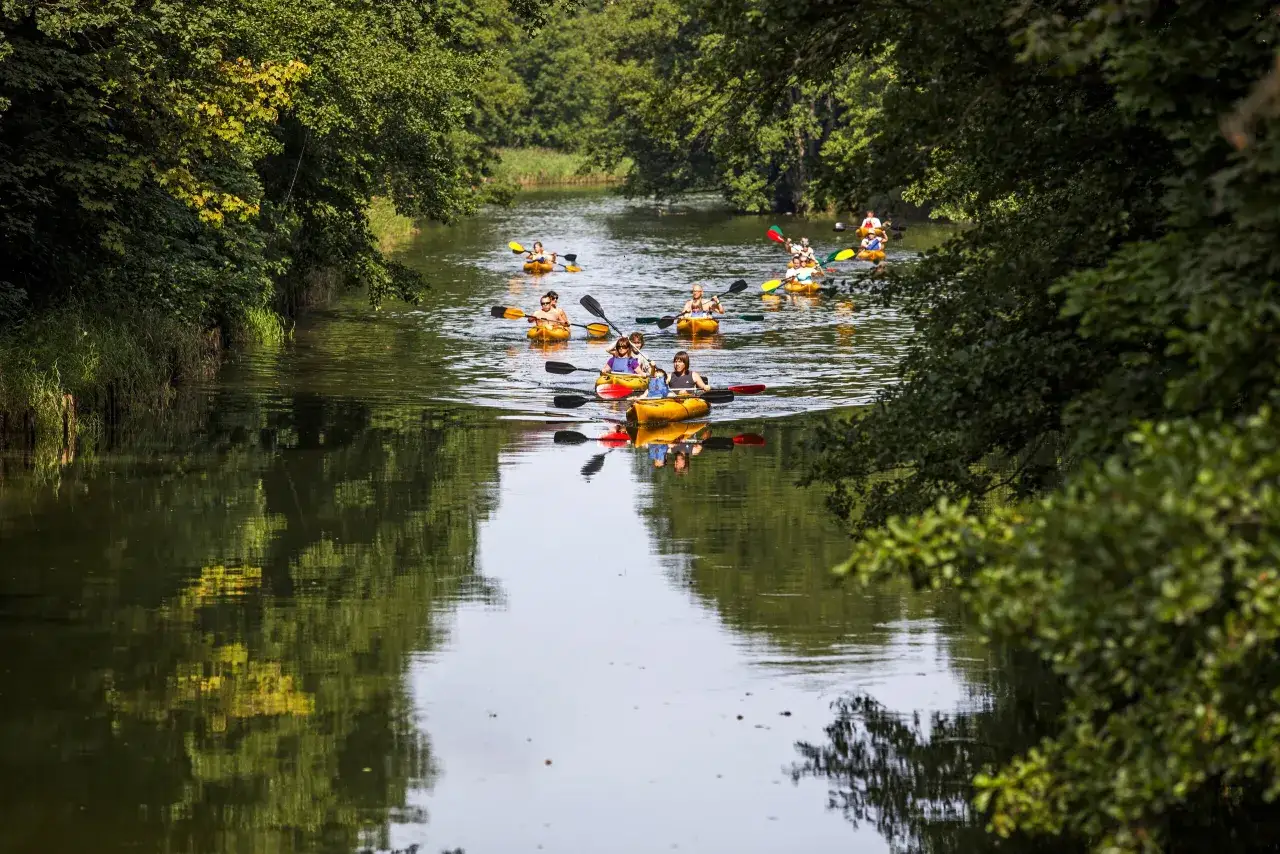 Jezioro Wdzydze kajaki żagl&oacute;wki