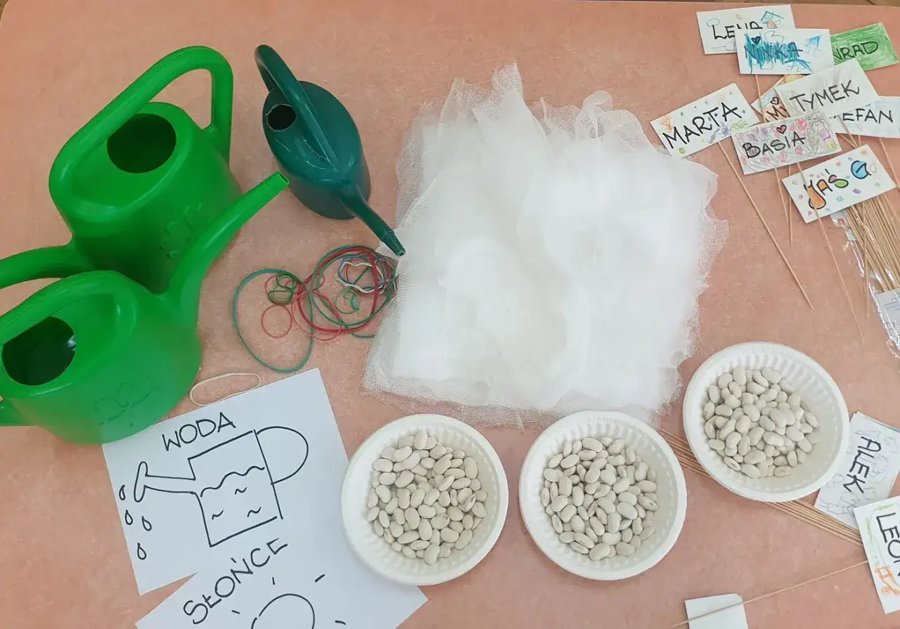 materiały do hodowli fasoli