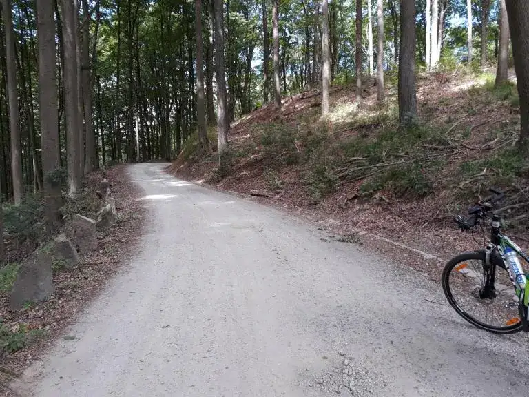 trasa rowerowa wok&oacute;ł miedwia