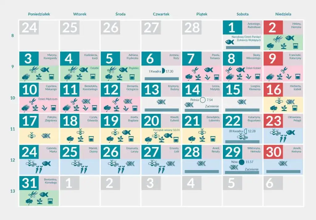 terminy siewu marchwi kalendarz