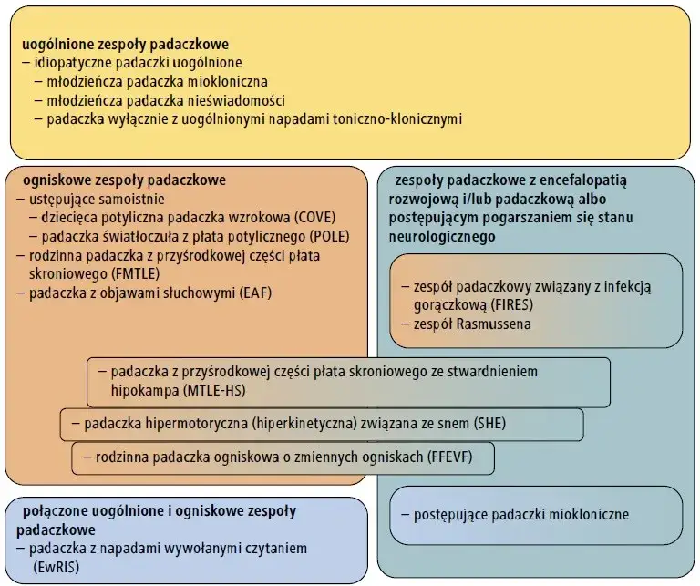 Zdjęcie Czy dziecko z padaczką jest niepełnosprawne? Fakty dla rodziców