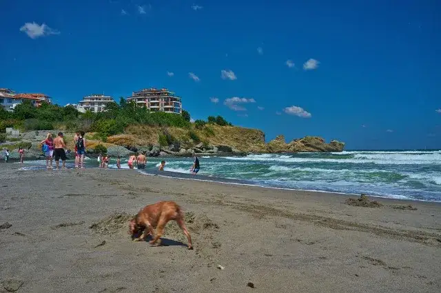 Tanie podróże po Europie: Albania plaża, Rumunia zamek, Portugalia wybrzeże