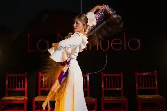 espect&aacute;culo flamenco &iacute;ntimo tablao