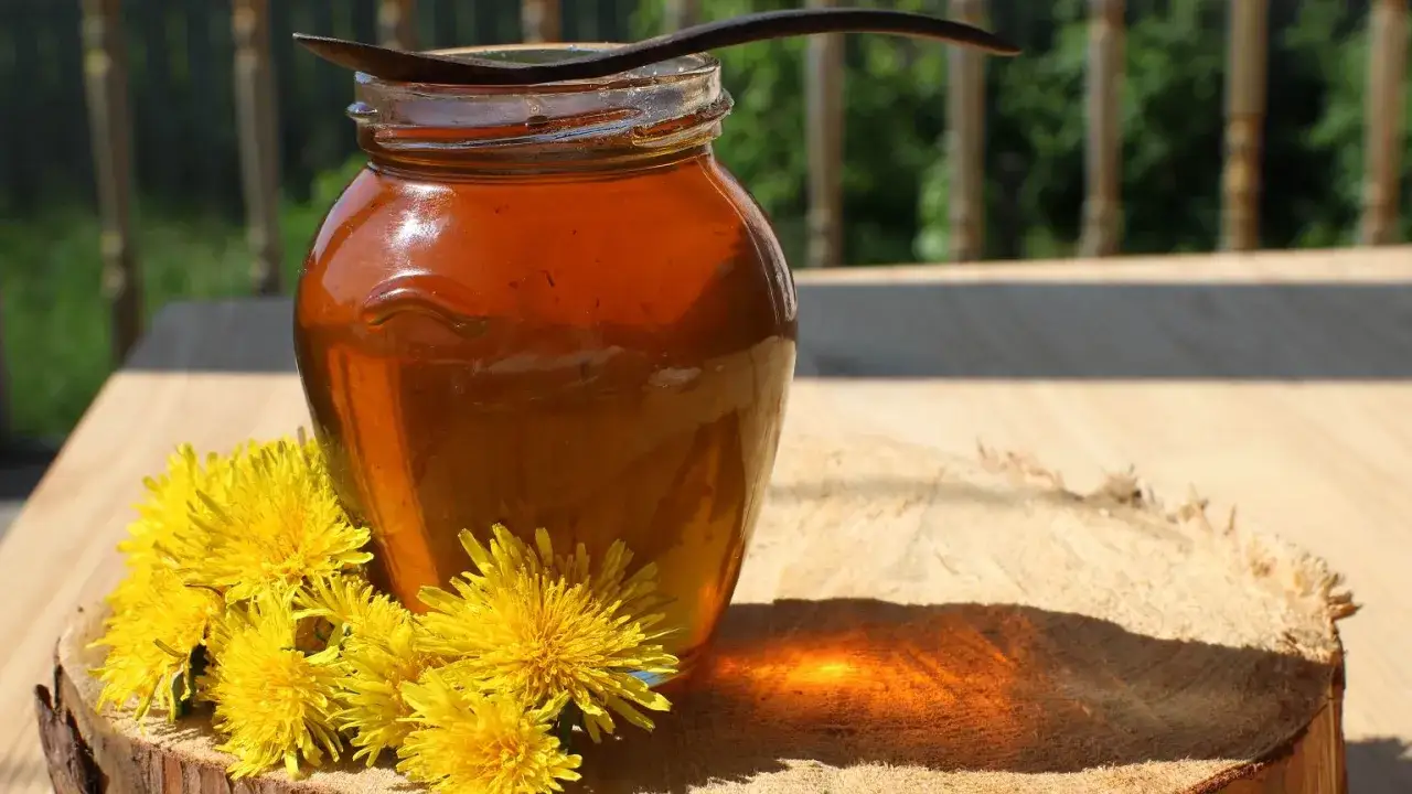 Słoik ze złotym syropem z mniszka, obok świeże kwiaty. Idealny syrop z mniszka przepis na zdrowie.