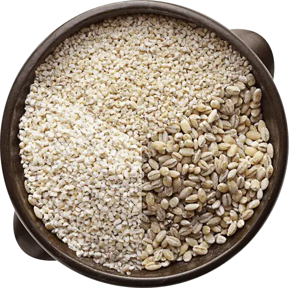 różne rodzaje kaszy jęczmiennej pęczak perłowa łamana