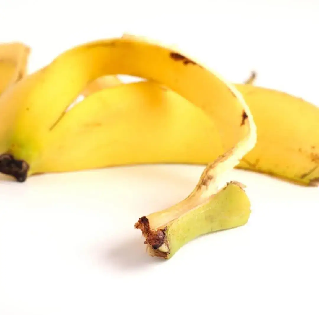 rośliny nawożone skórkami banana