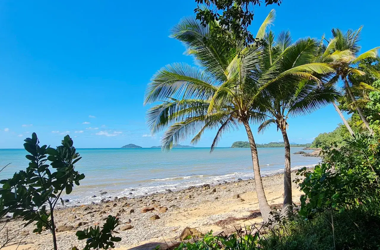 Palmy nad kamienistą plażą, turkusowa woda i bezchmurne niebo. Idealny obraz tego, jak w australii jest lato.
