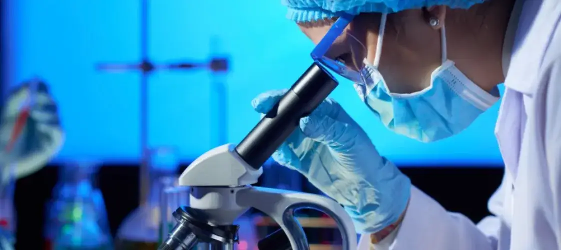 Zdjęcie Jakie studia po maturze z biologii? Odkryj najlepsze kierunki i zawody