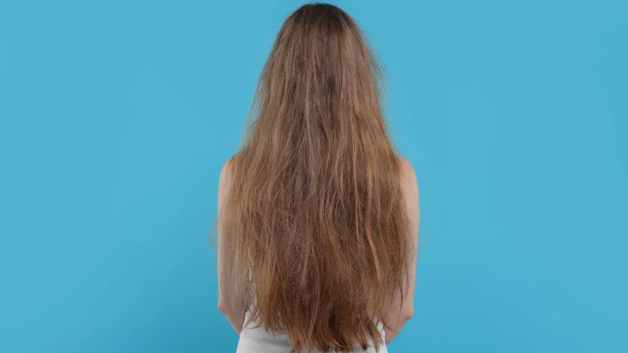 Długie, zniszczone włosy wysokoporowate czekają na zabieg. Dowiedz się, jak olejować włosy wysokoporowate, by przywrócić im blask i zdrowie.