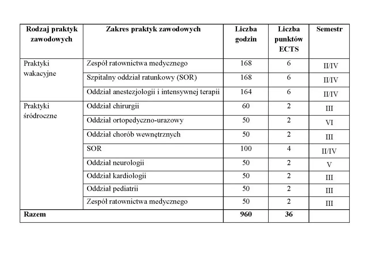 Rodzaje praktyk zawodowych w Polsce