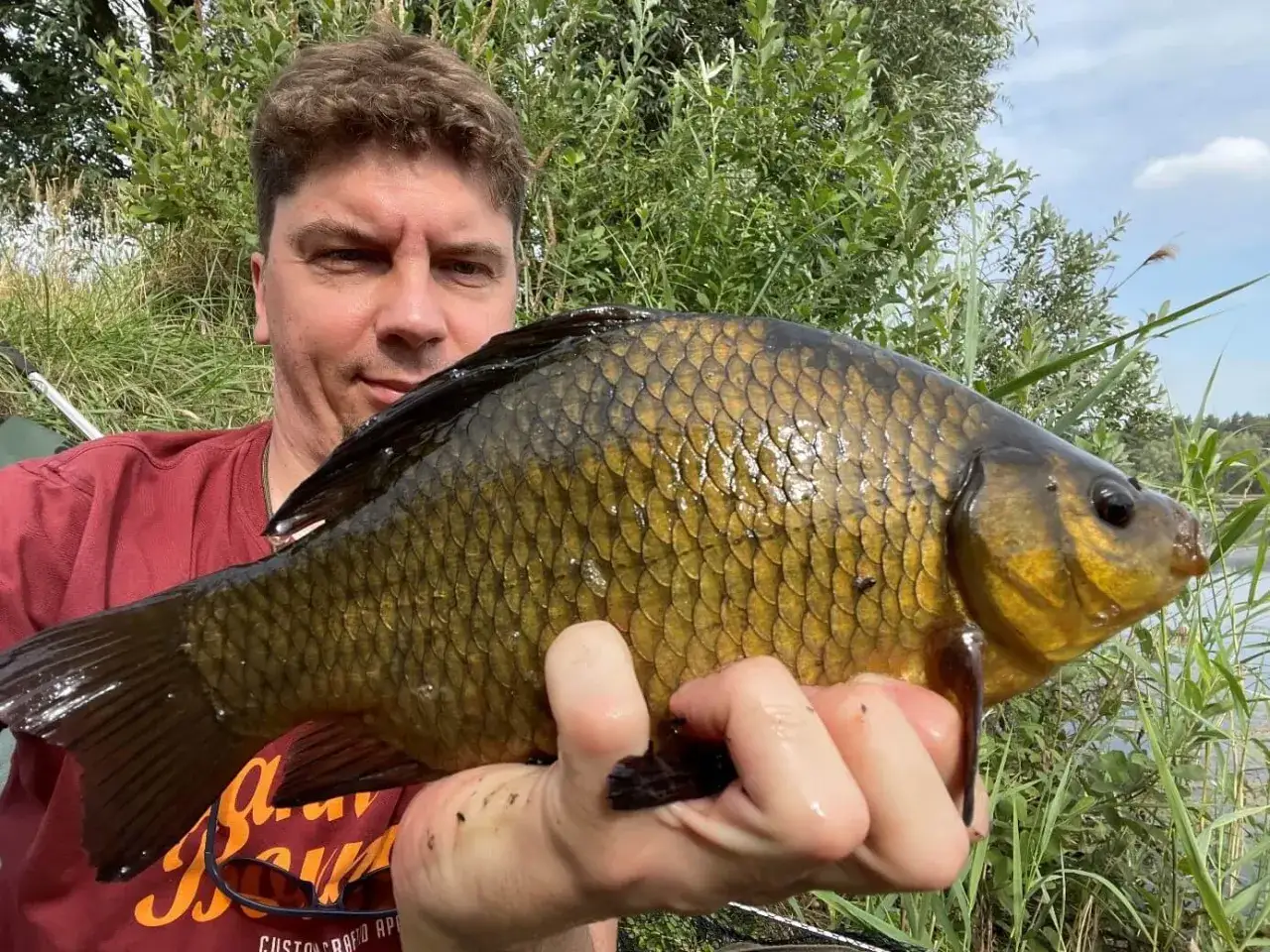 różnica między linem a karasiem, siedlisko lina