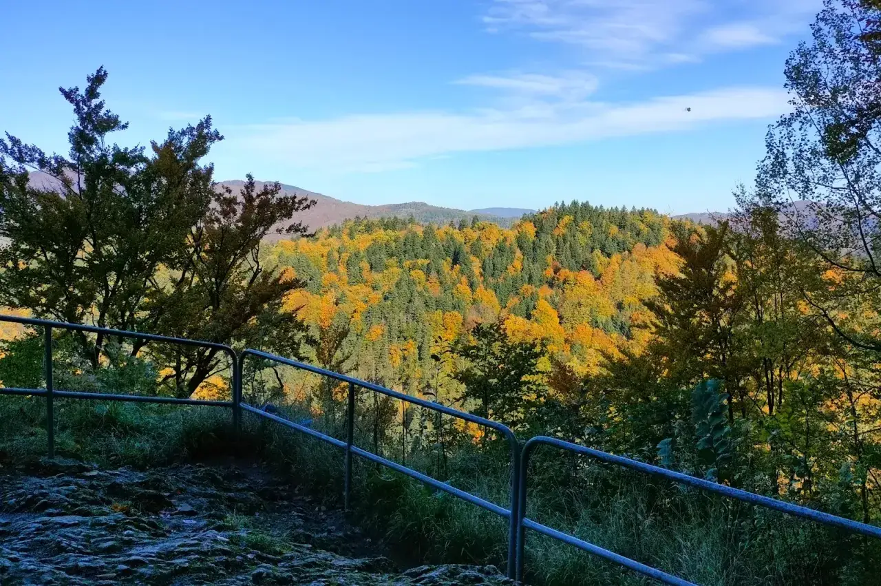 Jesienny krajobraz Małych Pienin. Drzewa mienią się odcieniami ż&oacute;łci i zieleni, a niebo jest błękitne.