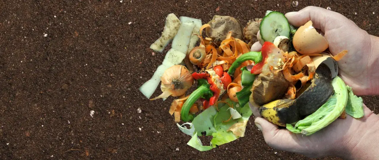 Ręce trzymają resztki warzyw, owoców i skorupki jajek – to przykłady tego, czego nie można wrzucać do kompostownika.