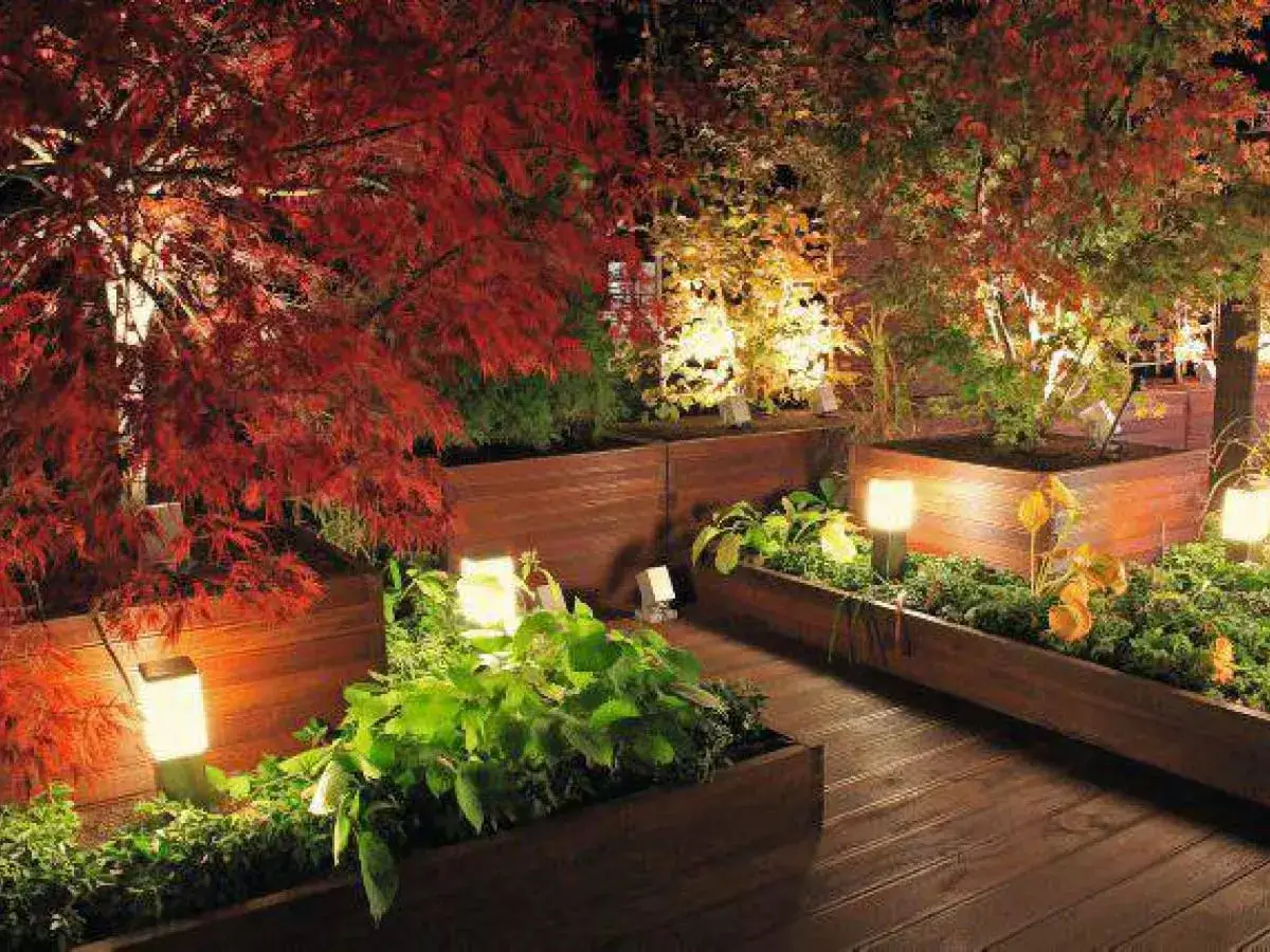 Piękny taras z klonem japońskim i oświetleniem. Idealne miejsce, by poczuć, co taniego na taras, tworząc przytulną atmosferę.