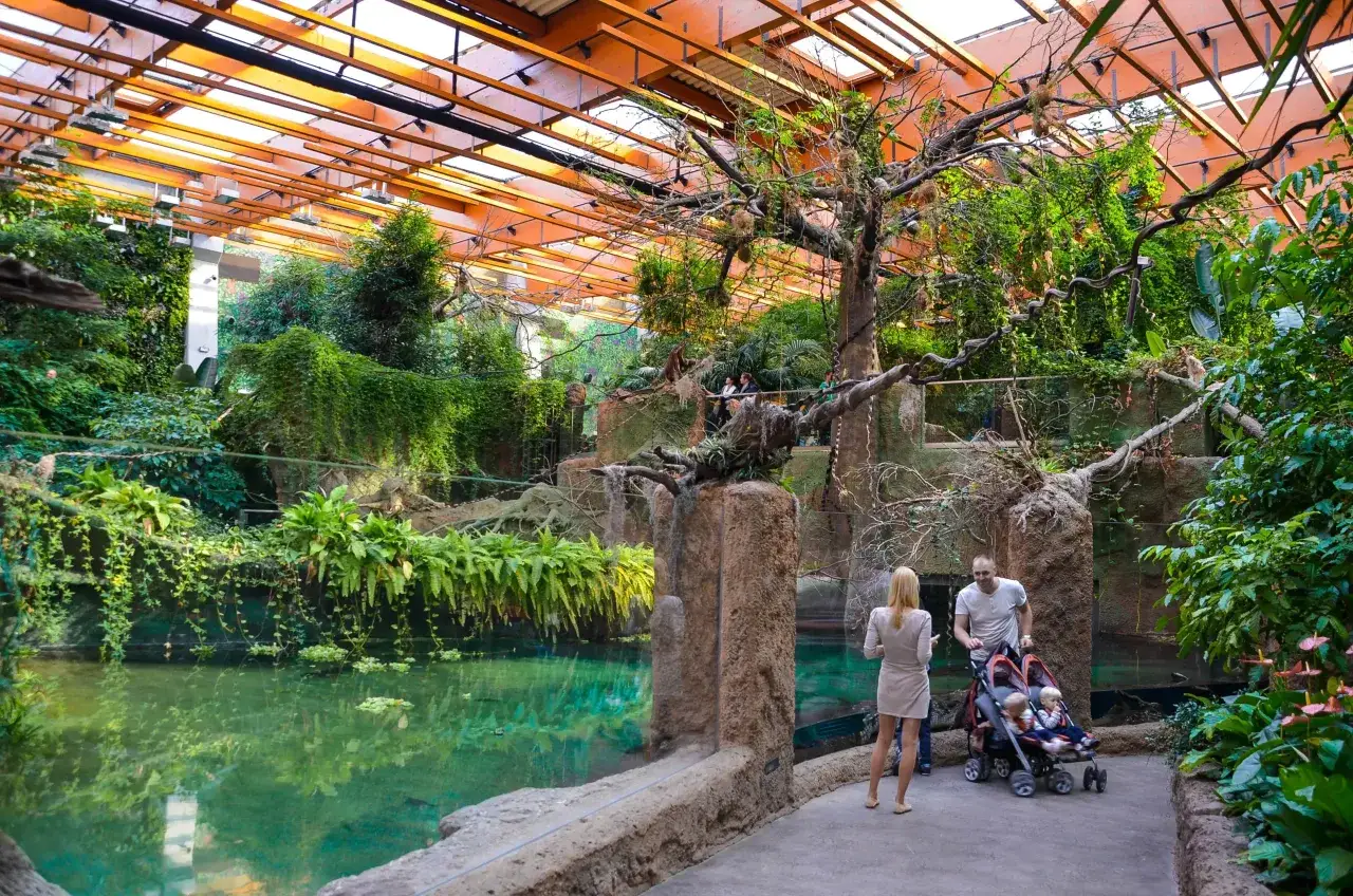 Afrykarium Wrocław wejście godziny otwarcia