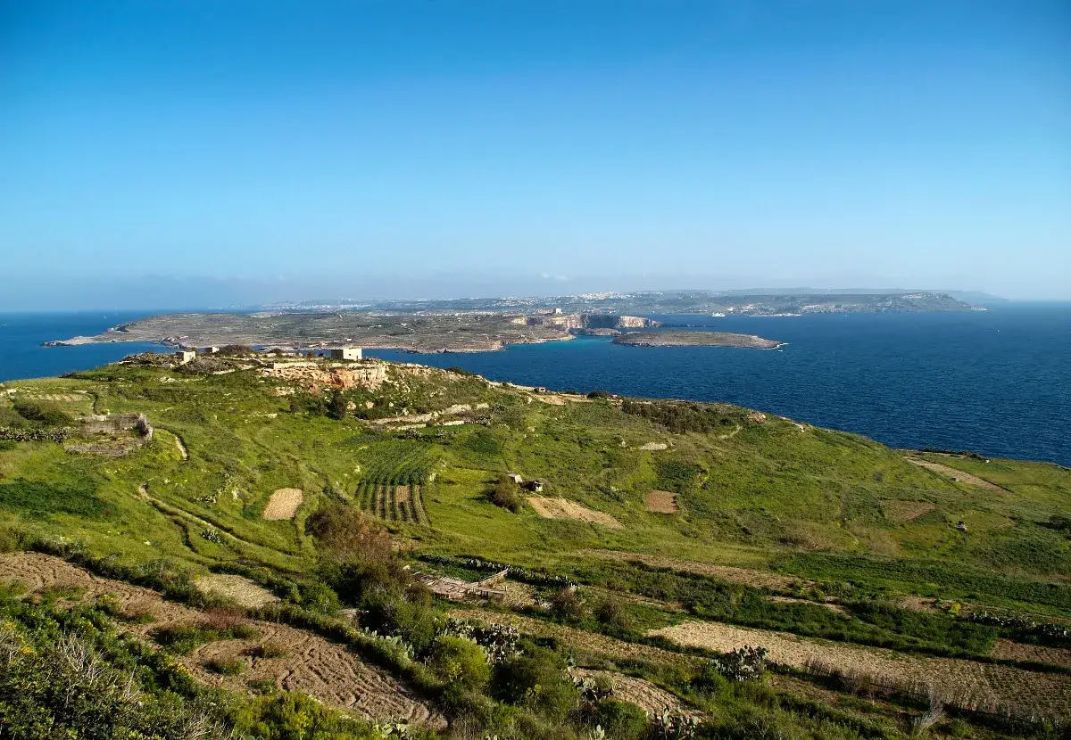 Zielone tarasowe pola uprawne schodzą ku lazurowemu morzu. Idealne miejsce, by odkryć, co robić na Malcie w lutym.
