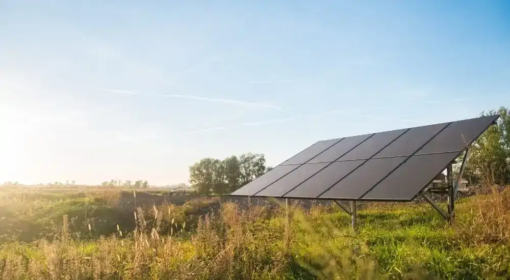 Zdjęcie Czernikowo elektrownia słoneczna: jak wpływa na energię i środowisko