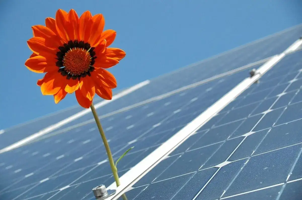 Zdjęcie Zalety elektrowni słonecznej: jak uniknąć wysokich kosztów energii